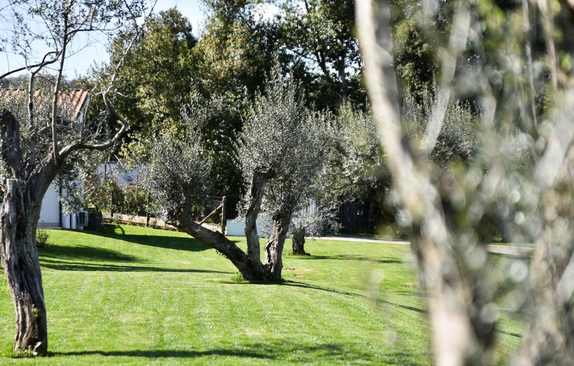 Vigna Caio Relais & Spa (Adults Only) Bracciano  Exterior foto